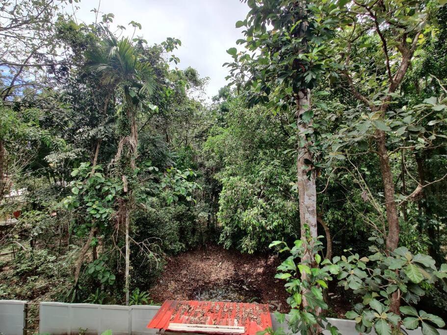 Anandam Stays - Premium 3Bhk Plush Homestay, Vaikom Near Kumarakom エクステリア 写真